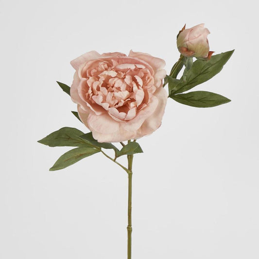 60Cm Blush Pink Peony Spray
