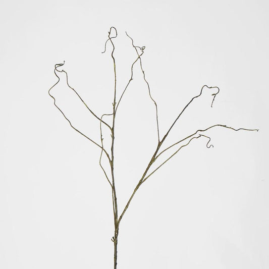 Dark Brown Twig
