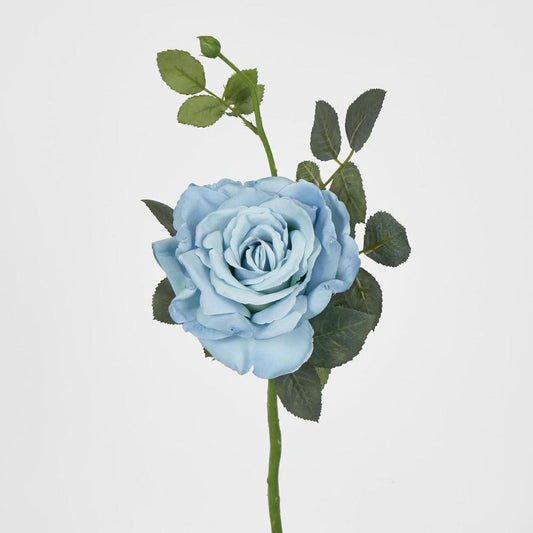 Queen Rose