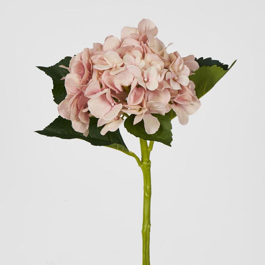 Soft Pink Hydrangea