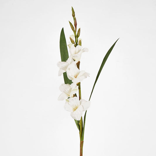 Gladious Spray 84Cm White