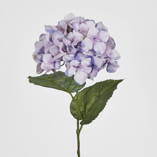 68Cm Lilac Domed Hydrangea