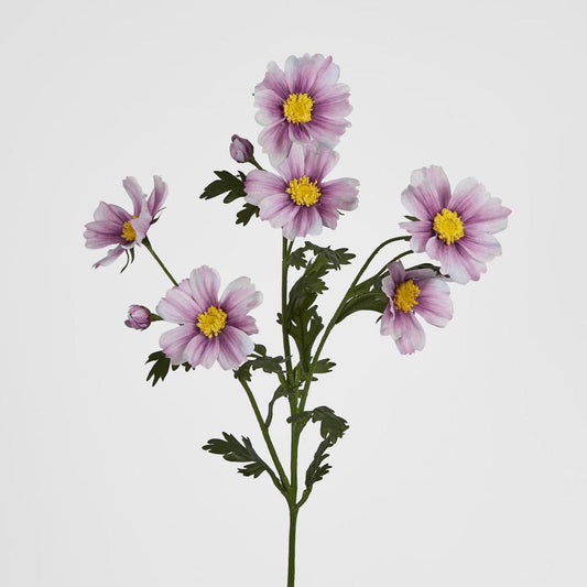 Pink Cosmos Spray By 3