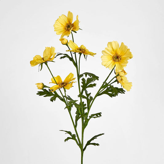 Yellow Cosmos Spray By 3