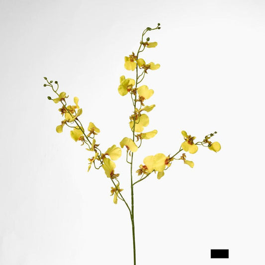 Lilly Dancing Orchid 98Cm Yellow