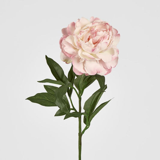 Single Peony With 4 Leaves Soft Pink 66Cm