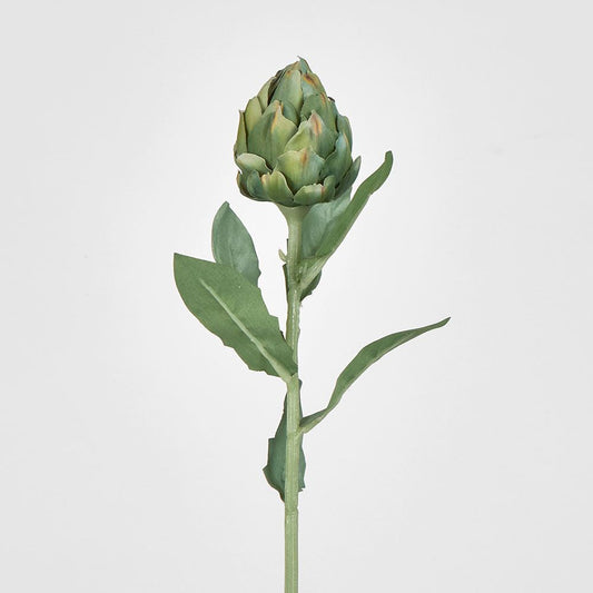 Single Artichoke Green 58Cm