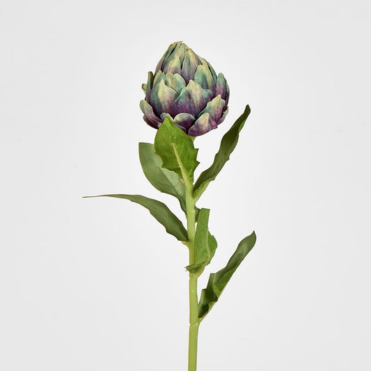 Single Artichoke Plum 58Cm