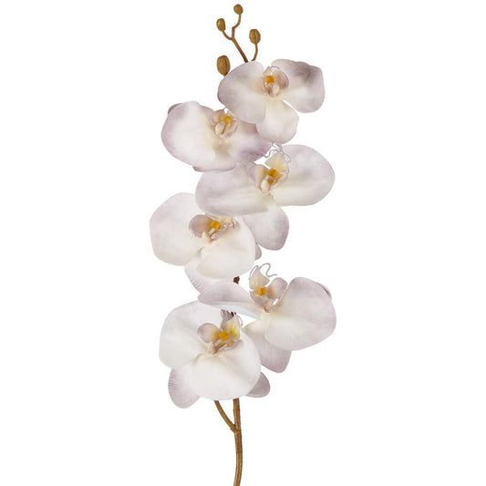 Orchid Stem 80Cm Lavender