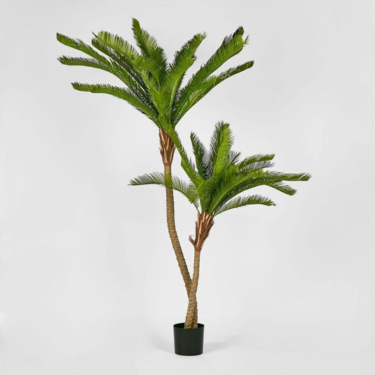 Cycus Palm 1.5M With 2058 Leaves