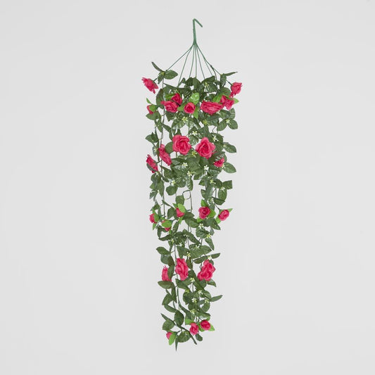 Hanging Roses