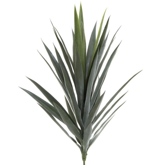 Yucca Head Green 78Cm
