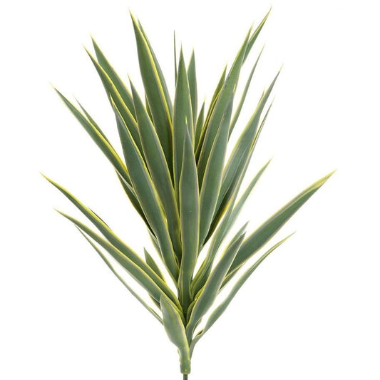 Yucca Head Green 78Cm