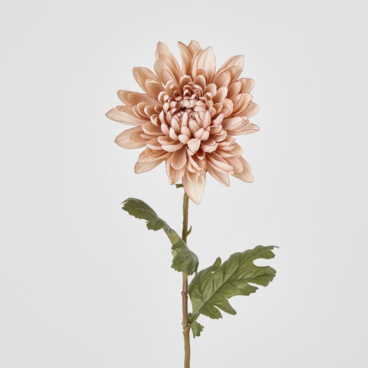 Mum Stem White Pink 69Cm