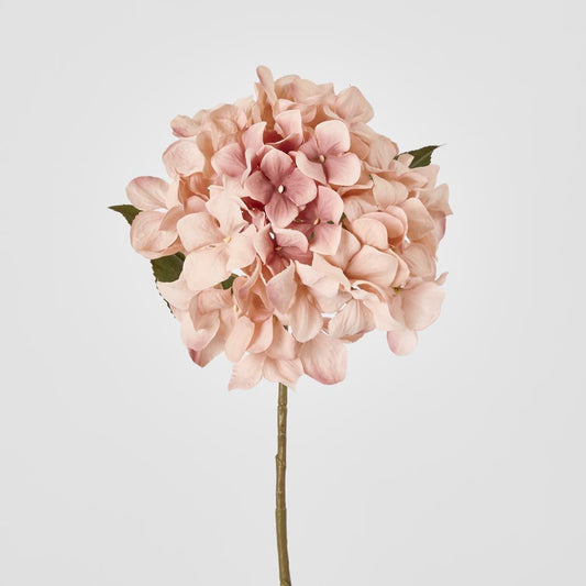 Hydrangea Stem 69Cm Light Pink