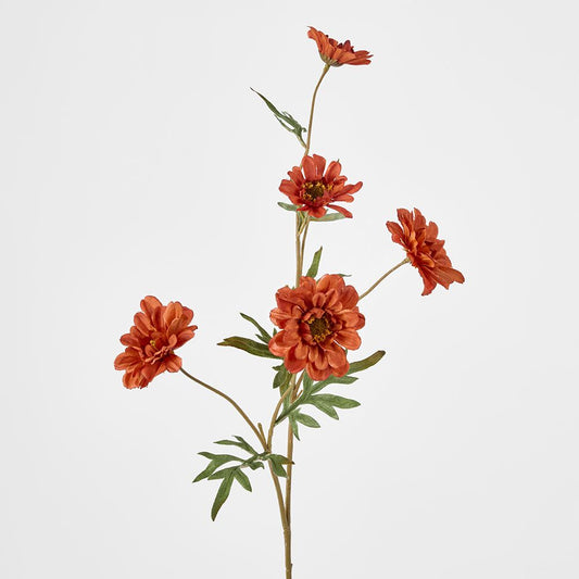 Daisy Spray Brown 75Cm