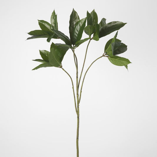 Frangipani Leaf Spray 84Cm