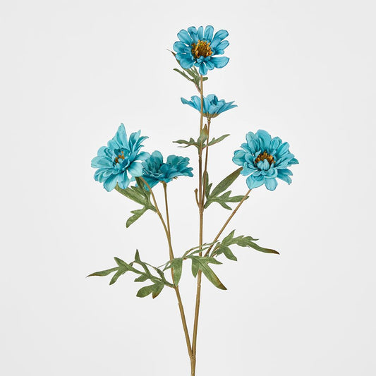 Daisy Spray Blue 75Cm