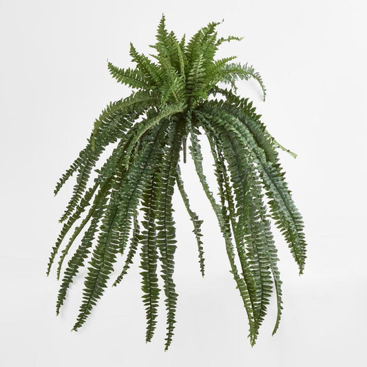 Huge Green Boston Fern Bush 52 Leaves