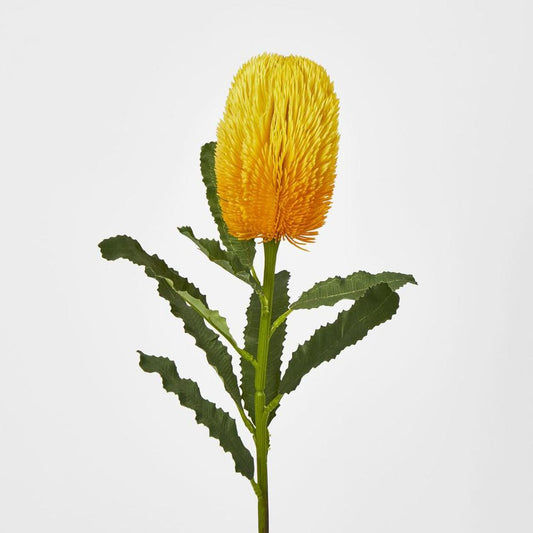 Yellow Gold Banksia Stem