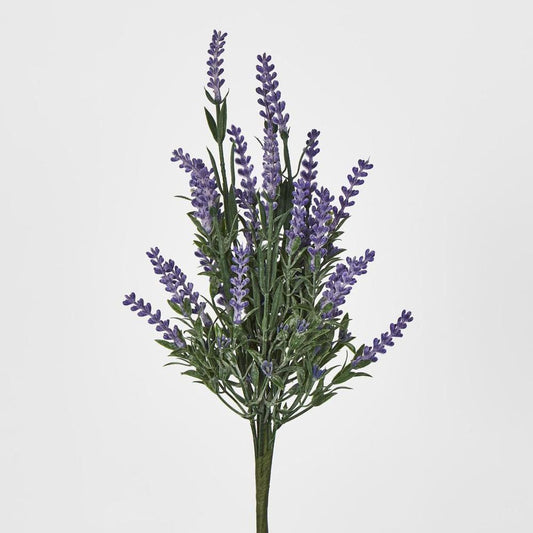 Lavender X 7 (Increments Of 2)