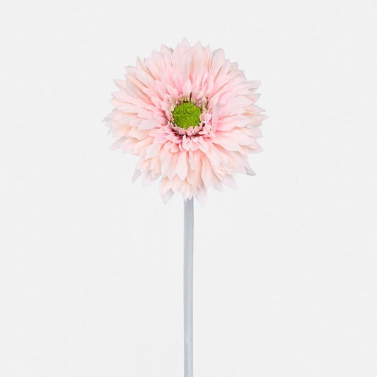 Gerbera Stem Pink