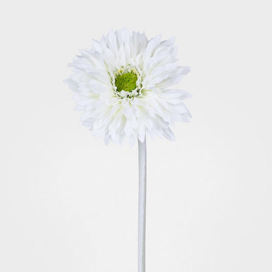Gerbera Stem White