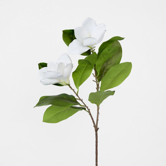 Magnolia Stem White