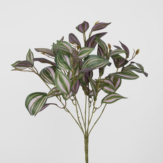 Wandering Jew Leaf Spray Purple