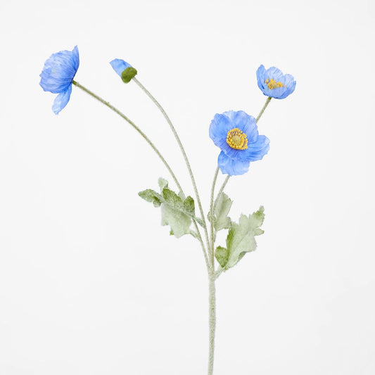 Poppy Spray Blue