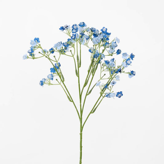 Baby'S Breath Stem Blue