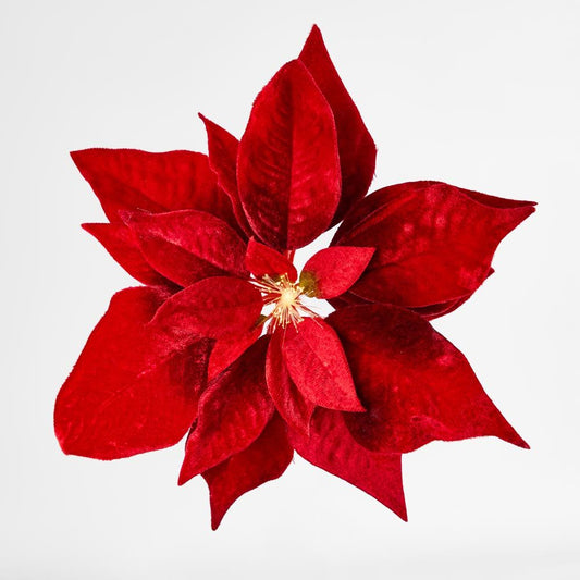 Luxe Velvet Poinsettia Clip On W. Light Up Stamen Red