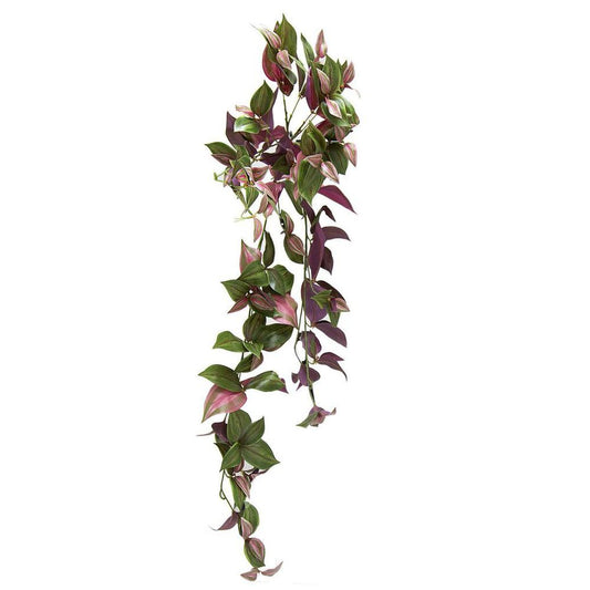 Wandering Jew Hanging Bush 94Cm Purple & Green