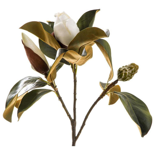 Magnolia Bud 60Cm White
