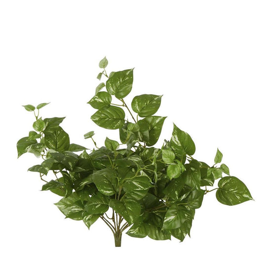 Pothos Leaf Hanging Vine Dark Green