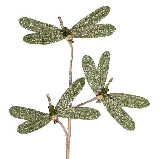蜻蜓花茎绿色
