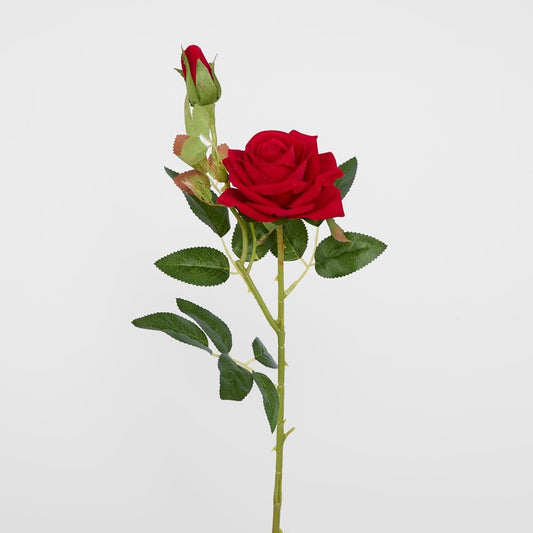 Red Rose Stem With Bud