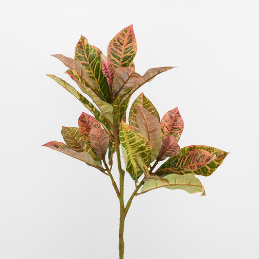 Croton Leaf