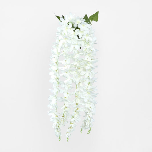 Trailing Vanda Orchid Spray