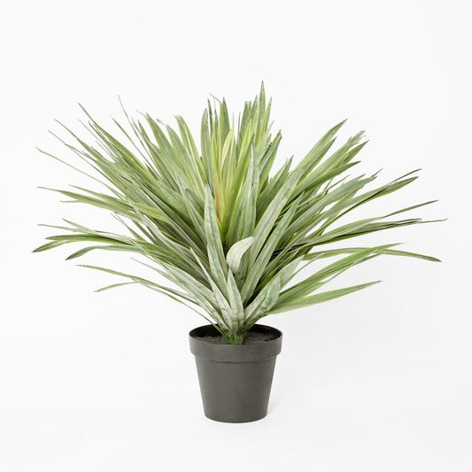 Soft Touch Potted Sisal Plant 68Cm