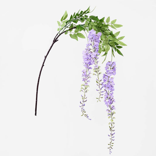 Lavender Wisteria By 3