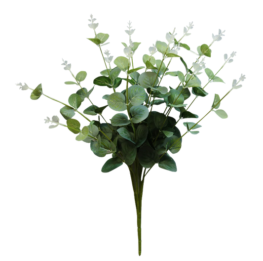 Natural Green Eucalyptus Bush