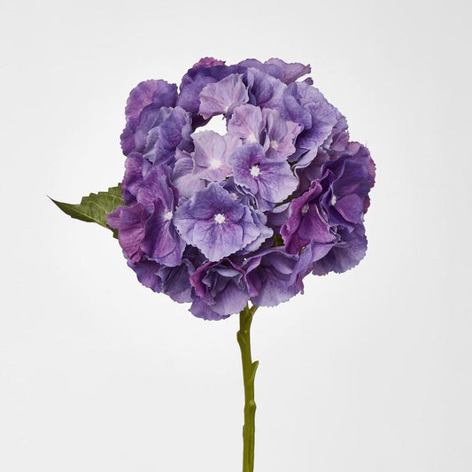 Susan Hydrangea Soft Touch Violet 52Cm