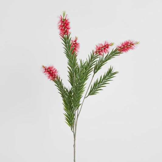 Bottlebrush Spray 100Cm