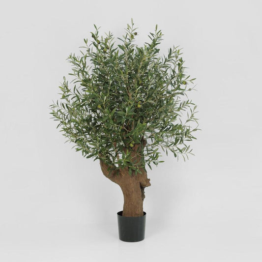 Giant Olive Tree With 3468 Leaves & 42 Fruits Green 110Cm