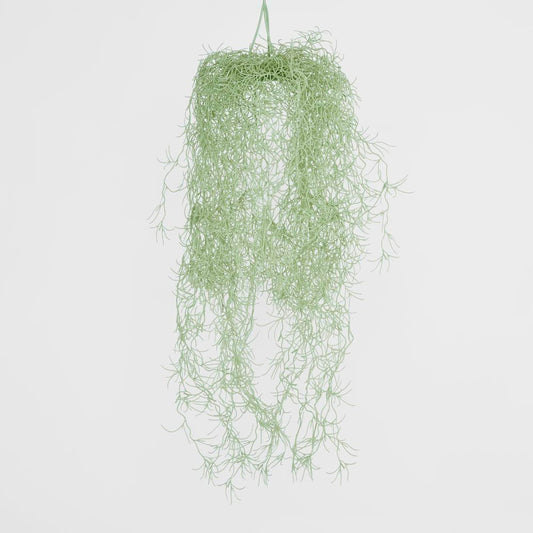 Spanish Moss Grey Green