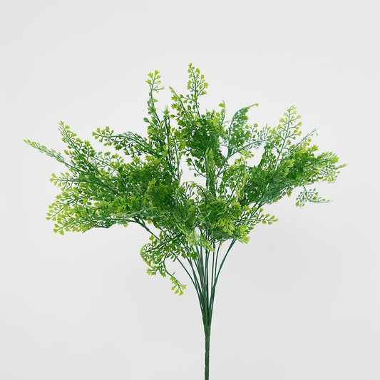 Maidenhair Fern Bush