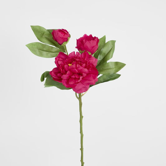 Peony With Two Buds Stem Fuchsia