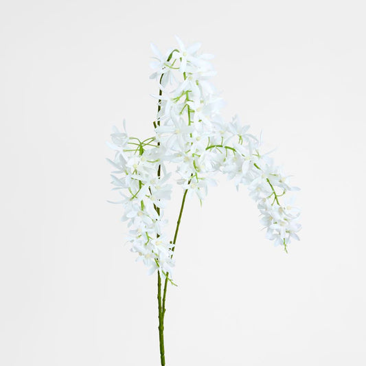 Trailing Wisteria 118Cm White