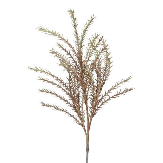 Wild Twig Grass 90Cm Light Brown